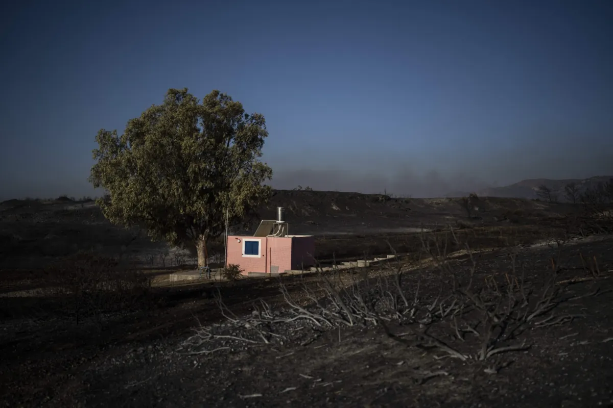 A house stands at a burnt forest near Gennadi village, on the Aegean Sea island of Rhodes, southeastern Greece, on July 26, 2023. (Petros Giannakouris/AP Photo)