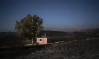 Exclusion Zone Set Up Around Greek Military Base After Wildfires Trigger Powerful Explosions