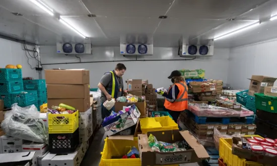 Gleaning, Produce Rescue at Food Banks Helps Feed Communities, Reduce Waste