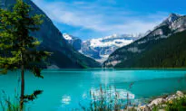 In Search of Pristine Nature