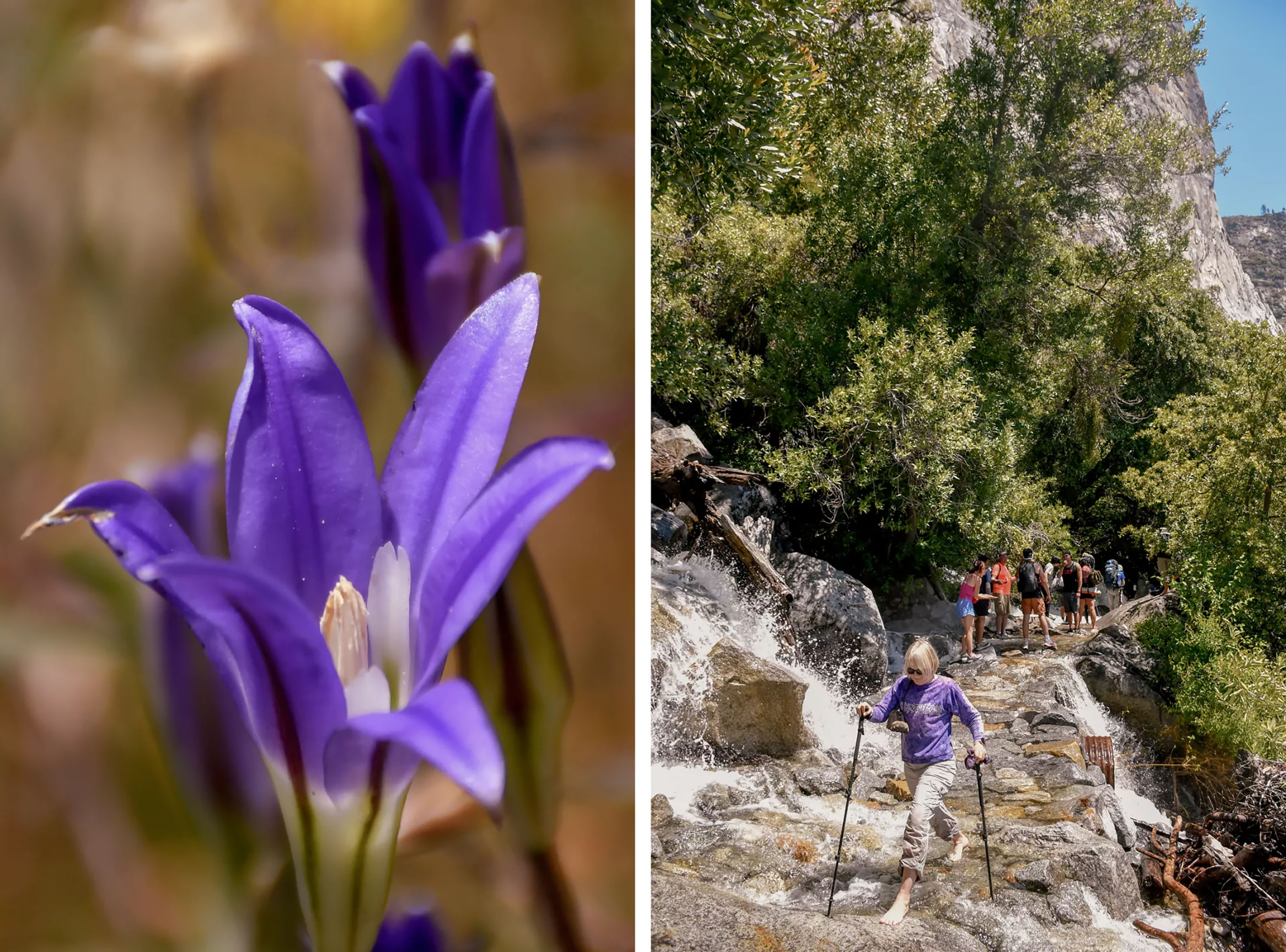 A 5-mile trail (round-trip) leads from the Hetch Hetchy Valley’s O’Shaughnessy Dam to Wapama Falls in Yosemite National Park. 
