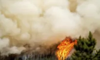 Firefighter Killed While Battling Donnie Creek Wildfire in BC