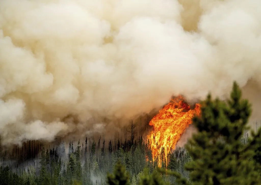Flames from the Donnie Creek wildfire burn along a ridge top north of Fort St. John, B.C., on July 2, 2023. (The Canadian Press/AP-Noah Berger)