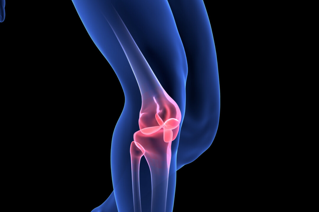 (m3ron/Shutterstock)