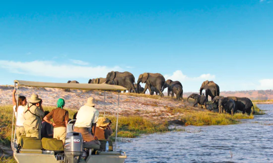 This 4-Country Land and Cruise Safari Is the Perfect Introduction to Southern Africa