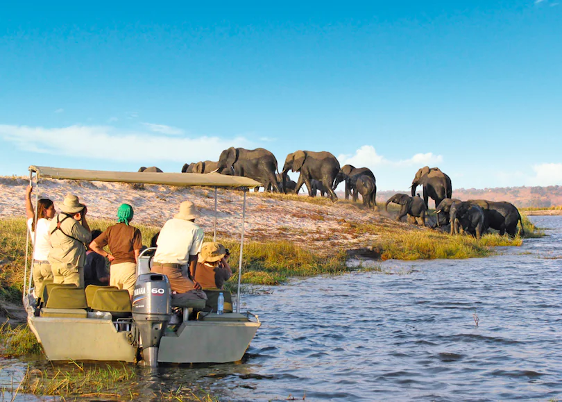 Taking in the sights along the shores of the Zambezi River. (Courtesy of CroisiEurope)