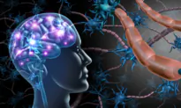 New Research Validates Autism’s Link to Gut