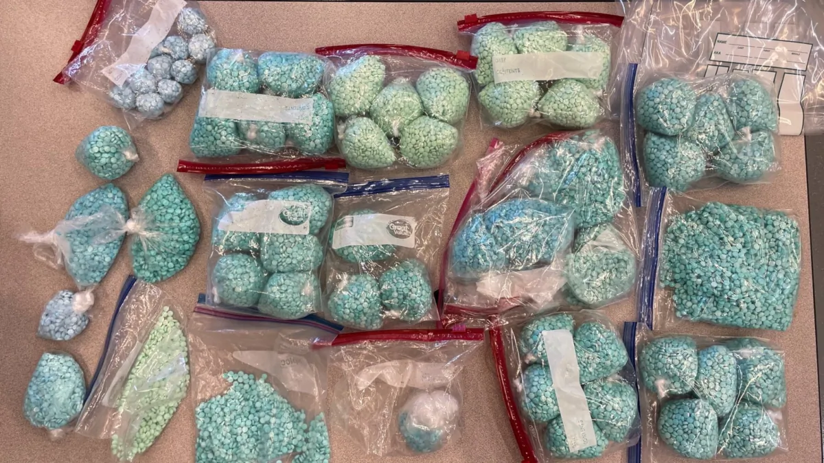 Bags containing approximately 58,000 fentanyl pills were seized in Multnomah County, Oregon, on July 25, 2023. (Courtesy of Multnomah County Sheriff's Office)