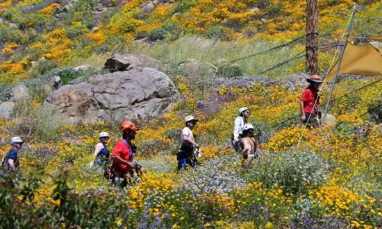 Hikers Warned of Wildlife Encounters in California State Parks During Summer