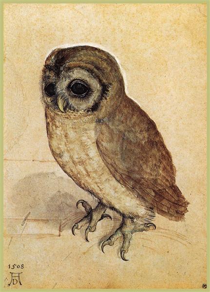“What An Owl Knows: The New Science of the World’s Most Enigmatic Birds” by Jennifer Ackerman