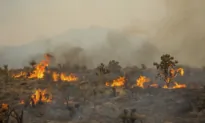 Scientist Says He Omitted ‘Full Truth’ From Paper to Fit Top Journal’s Climate Change Narrative