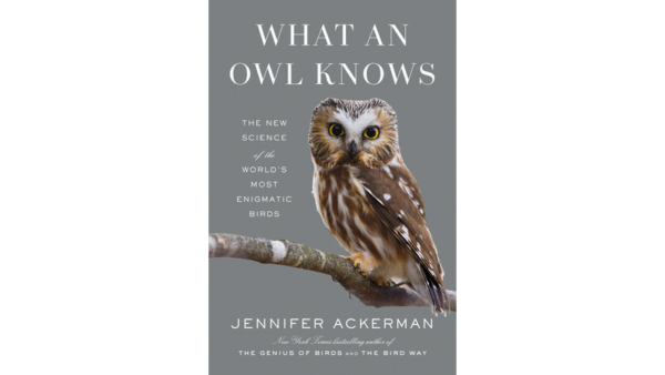 “What An Owl Knows: The New Science of the World’s Most Enigmatic Birds” by Jennifer Ackerman