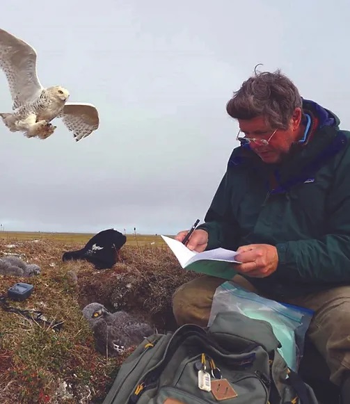 “What An Owl Knows: The New Science of the World’s Most Enigmatic Birds” by Jennifer Ackerman