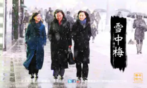 Legends Unfolding: Plum Blossom in Snow