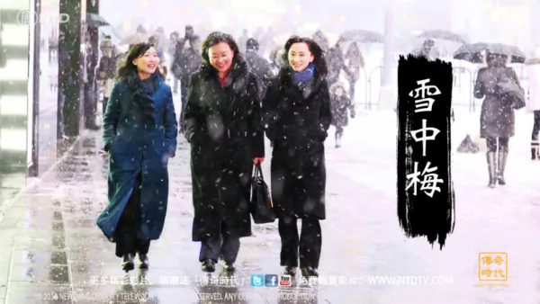 Legends Unfolding: Plum Blossom in Snow