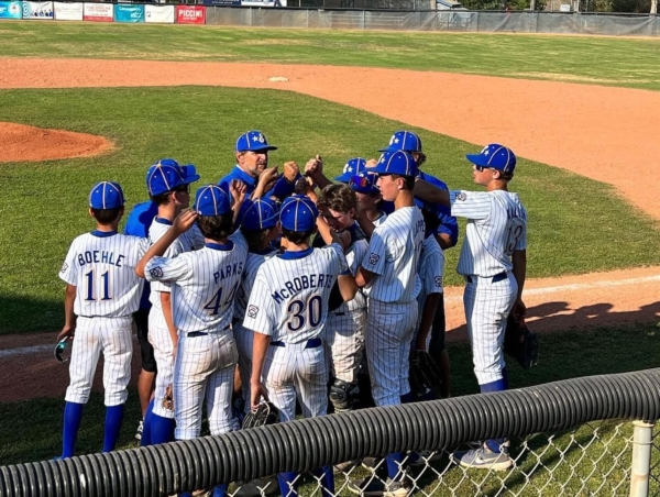 Little League World Series: El Segundo falls to Southwest – Daily Breeze