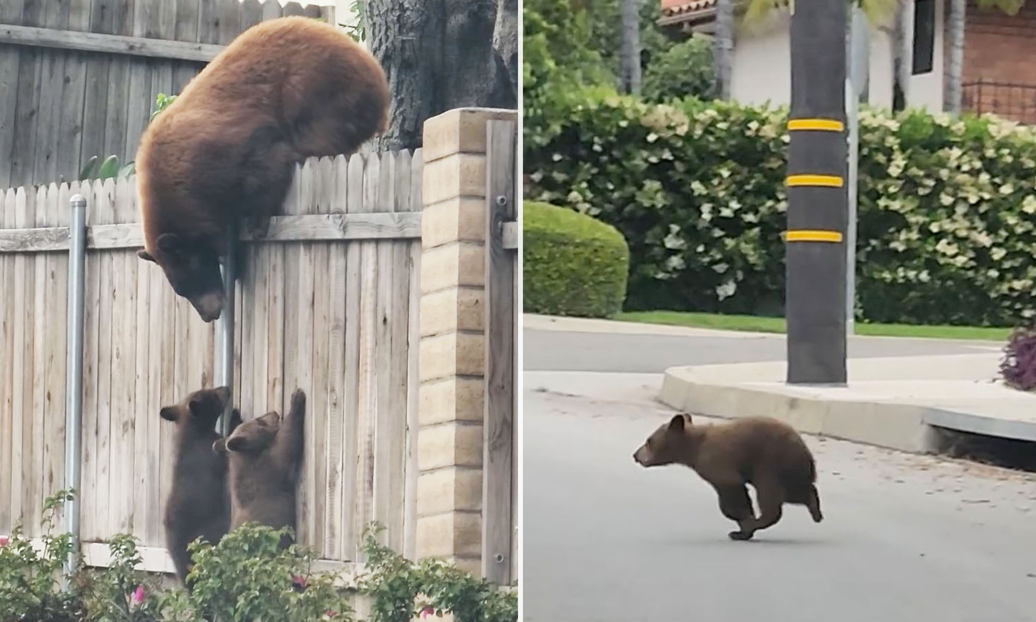 Mama Bear and Cub Toilet Paper Holder Stand