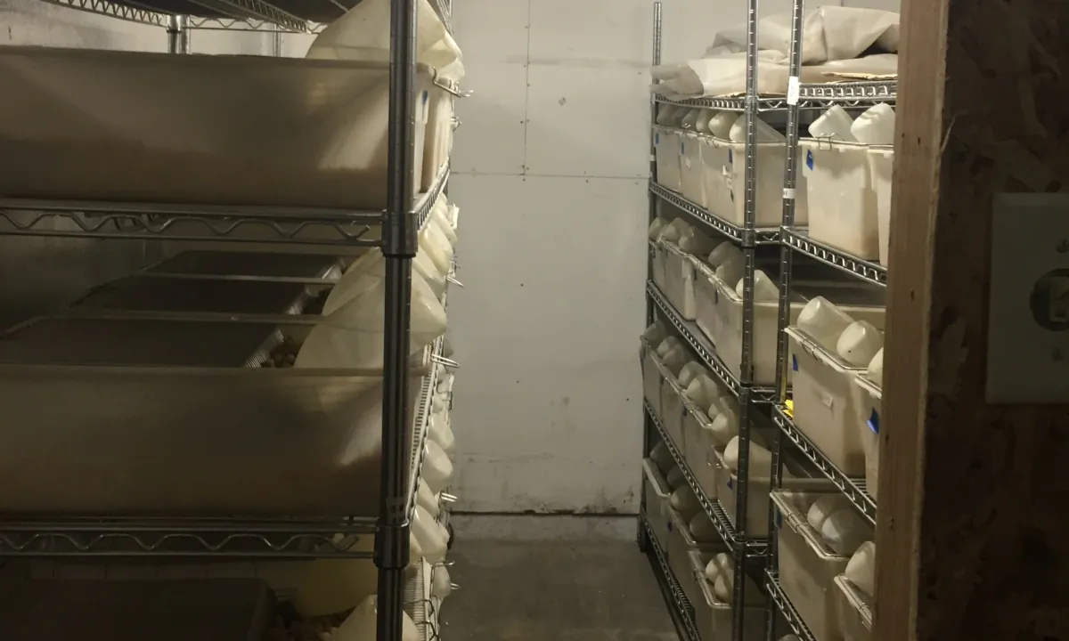 The interior of a suspected biolab, in Reedley, Calif., on July 31, 2023. (Courtesy of City of Reedley)