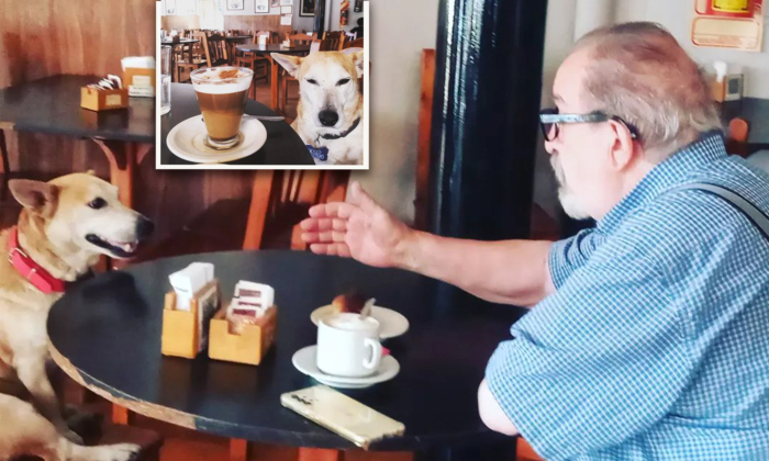 Abandoned Dog Rescued by Café Loves Sitting With Elderly Customers, Keeping Them Company: 'It's Really Touching'