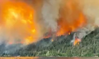 Properties Destroyed as Latest BC Wildfire Flares, Forcing Urgent Evacuations