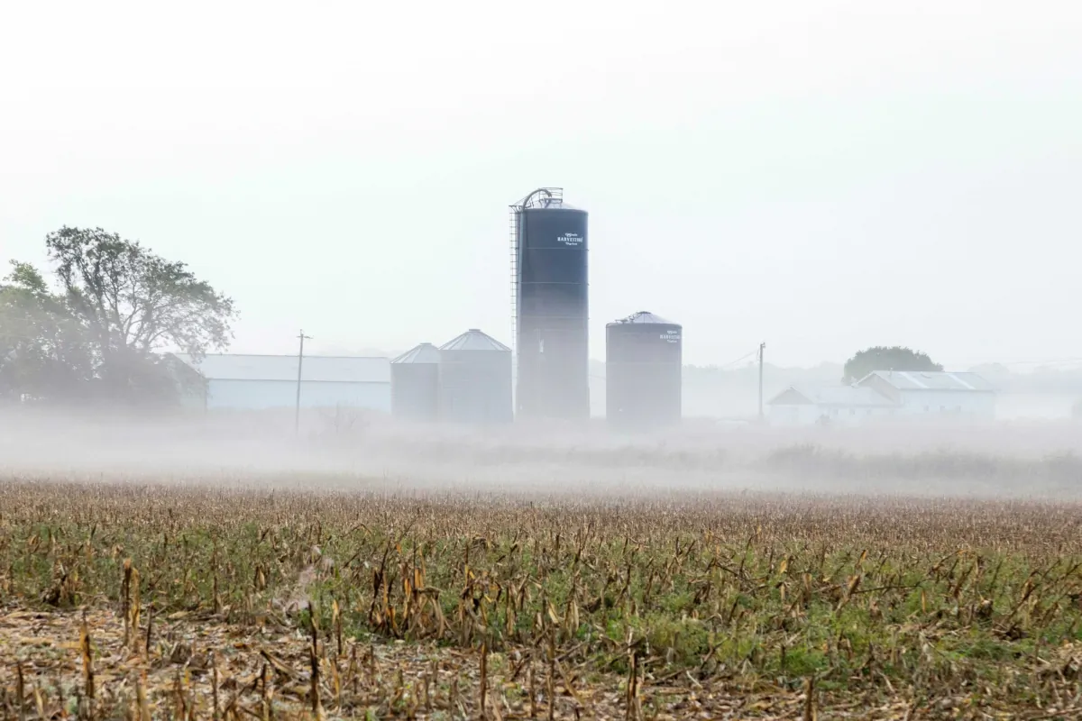 Storage silos are seen in a foggy farm field in a file photo. (David Ballew/Unsplash.com)