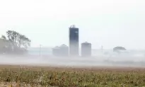 Fighting Beijing’s Interference: Silos Are Good for Storing Grain, Not Shielding Vital Security Information