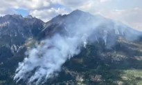 ‘Persistent’ Bears Force 160 Firefighters to Pull out of BC Interior Camp