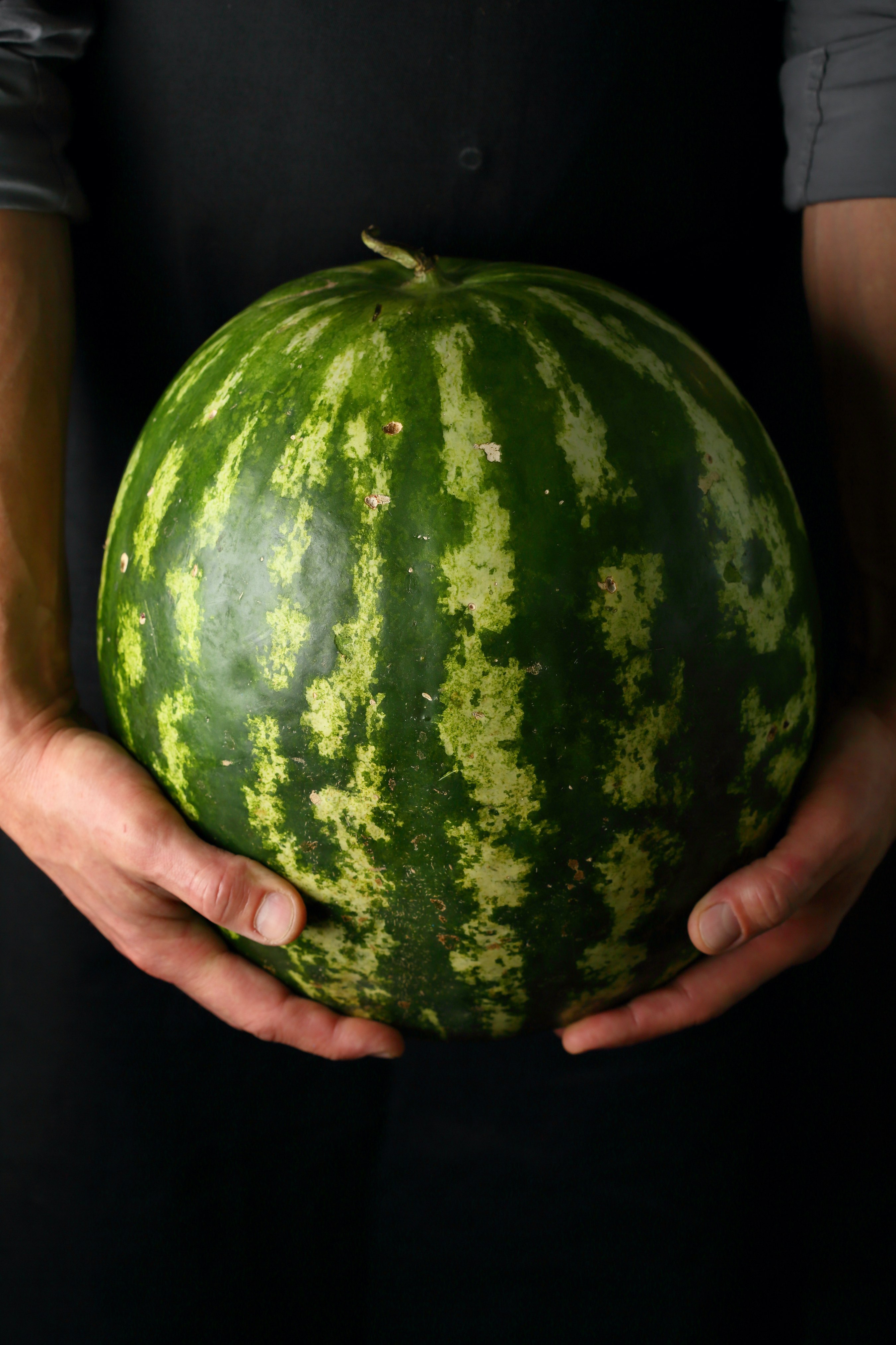 Organic Watermelon in man's hand