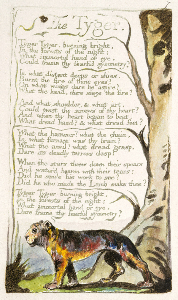 "Tyger Tyger."