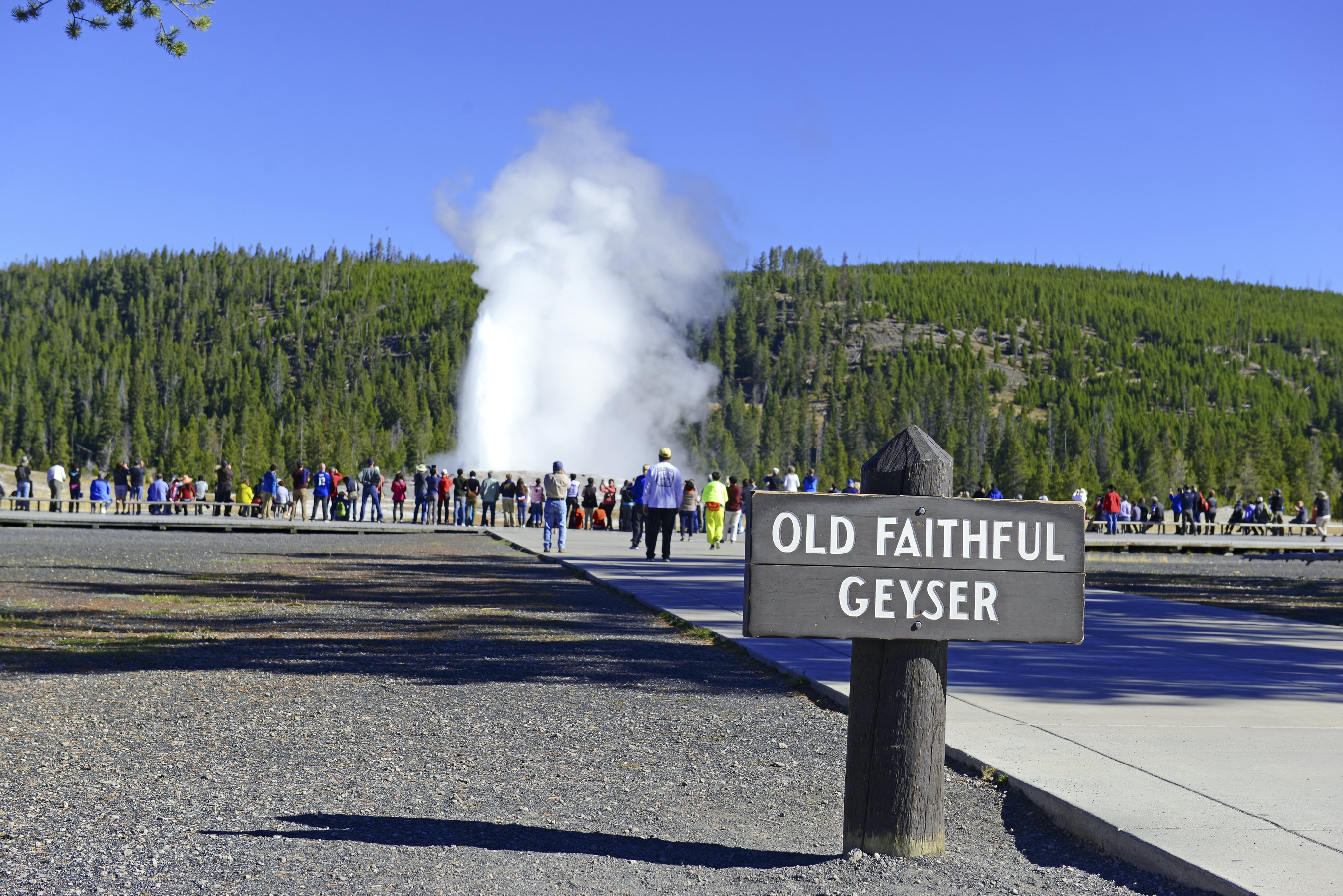 Yellowstone National Park, Wyoming.