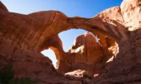 Taking the Kids: And De-stressing That First National Parks Trip