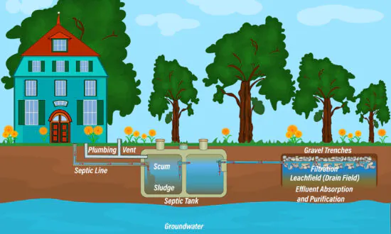 Keep Your Septic System Working Well