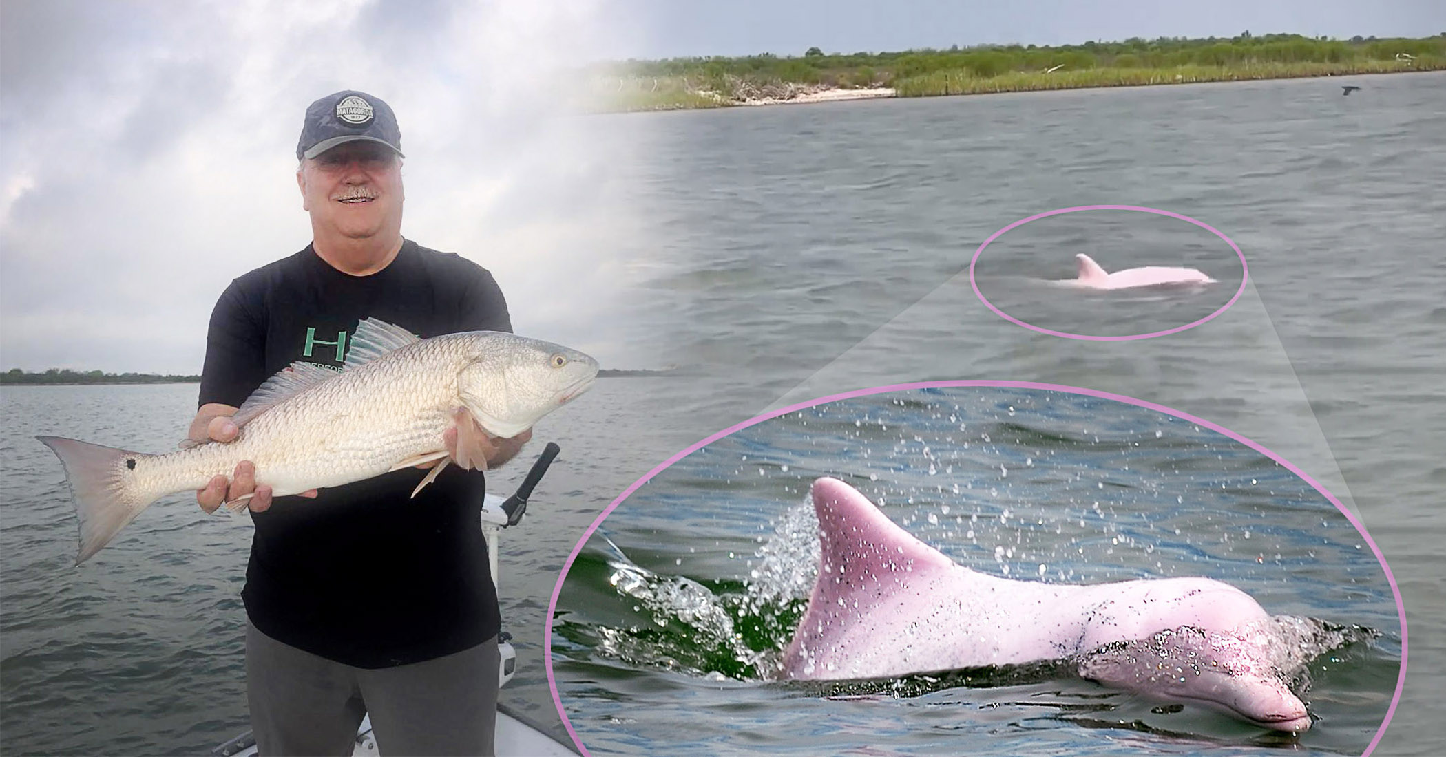 Texas Fisherman Spots Rare Pink Dolphin Near Gulf of Mexico—And Has