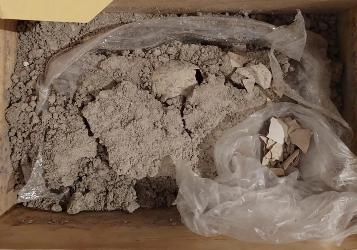 A part of an ancient flamingo fossil egg between 8,000 and 12,000 years old was uncovered at a busy construction at the new Felipe Angeles airport, in Zumpango, in the State of Mexico, Mexico, in a photo released on Aug. 3, 2023. (INAH/Handout via Reuters)