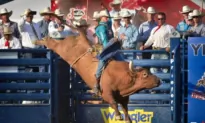Rancho Mission Viejo Rodeo Shut Down by Livestock Virus