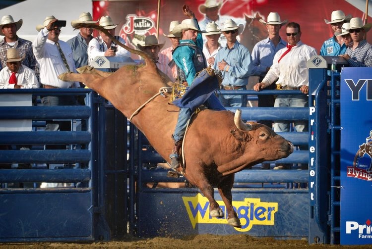 Rodeo at Rancho Mission Viejo Closed Due to Livestock Virus