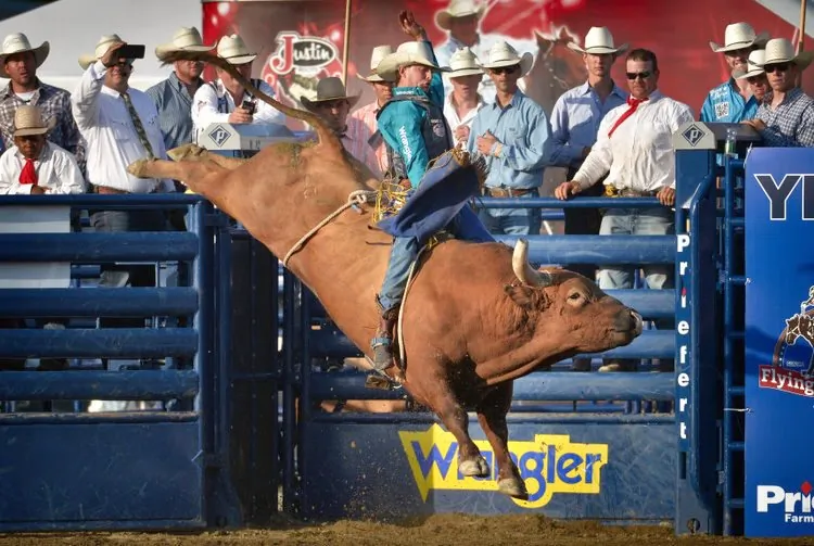 Tyler Smith of Fruita, Colo., hangs on as his bull flies through the air during the Bull Riding competition of the 16th Annual Rancho Mission Viejo Rodeo in San Juan Capistrano, Calif., in 2016. (Courtesy of the Rancho Mission Viejo Rodeo)