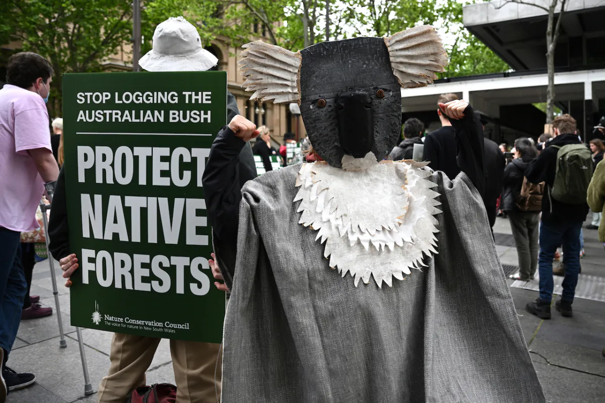Protesters are seen during an anti-logging rally at Martin Place in Sydney, Oct.13, 2022. (AAP Image/Dan Himbrechts)