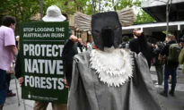 Australian Forestry Workers Urged to Be Protected After Receiving Threats