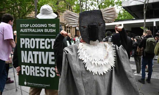 Australian Forestry Workers Urged to Be Protected After Receiving Threats