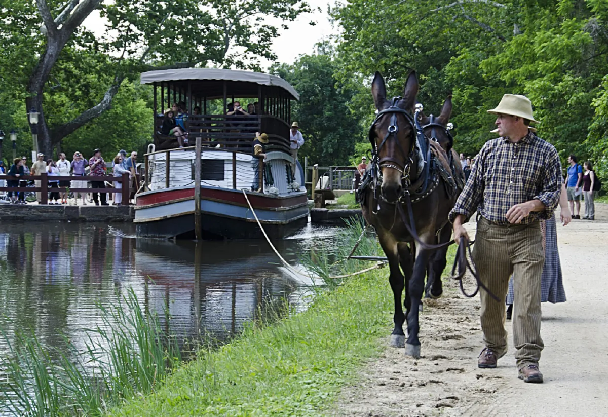 Visitors take a ride on the C&O Canal, once a lifeline on the Potomac River between Washington, D.C., and Cumberland, Maryland. (Alan Kolnik/Dreamstime.com)