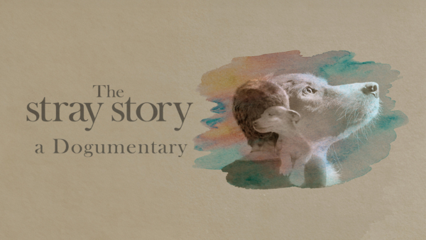 The Stray Story: A Dogumentary