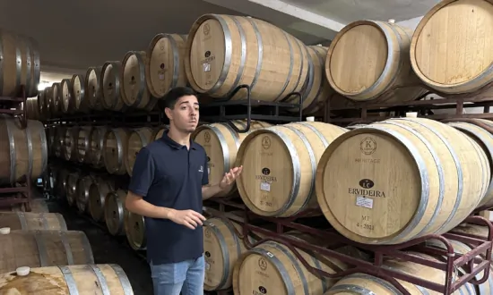 Finding Wine Country in Central Portugal