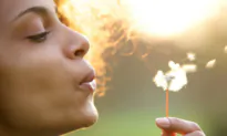 Evaluating Different Breathing Systems
