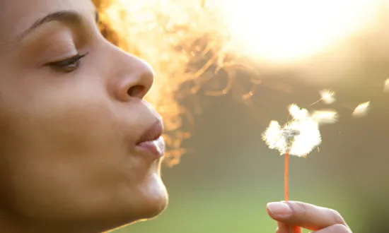 Evaluating Different Breathing Systems