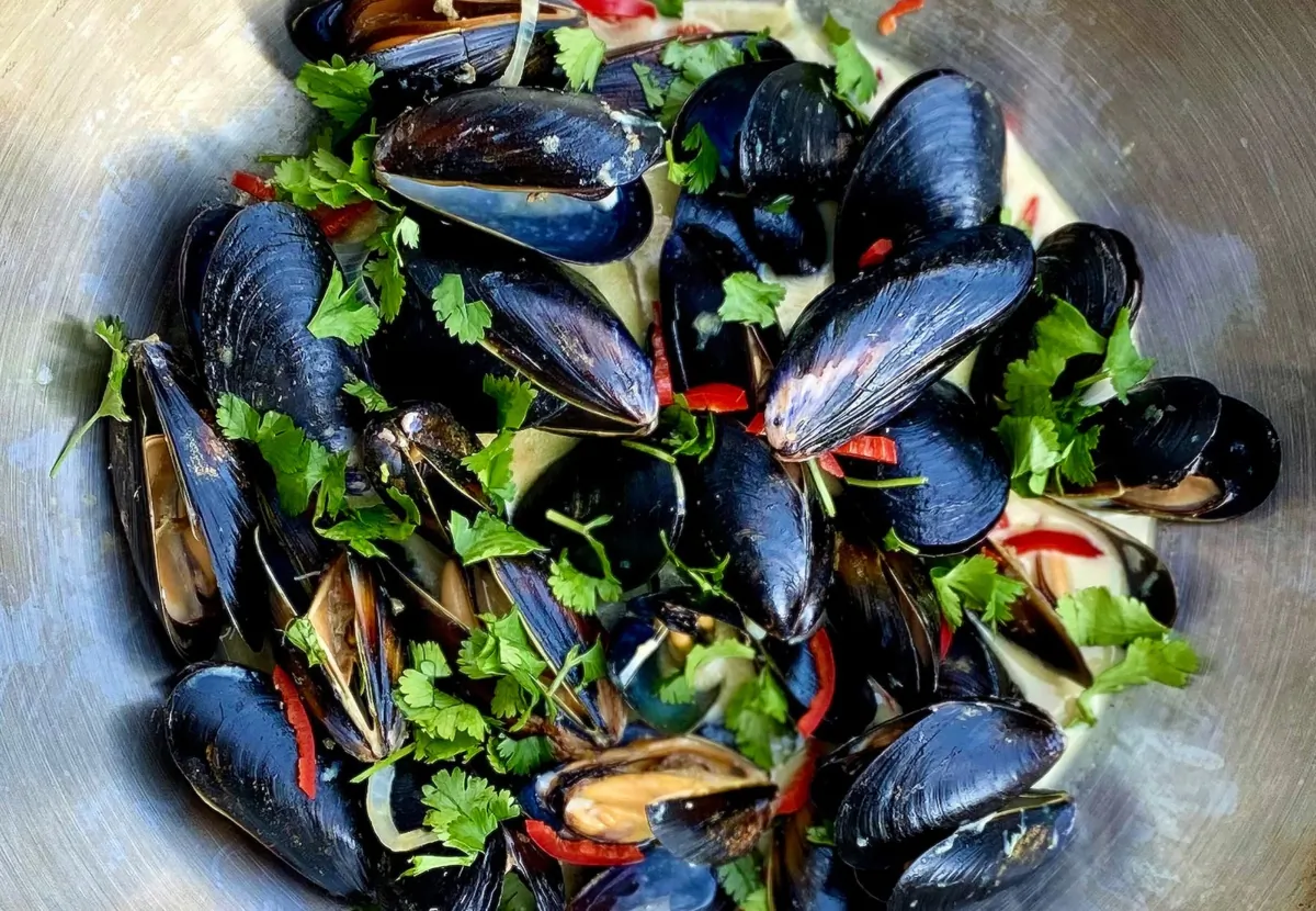 These Thai-style mussels are steamed in a heady concoction of coconut milk whisked with green curry paste and aromatics. (Lynda Balslev for Tastefood)