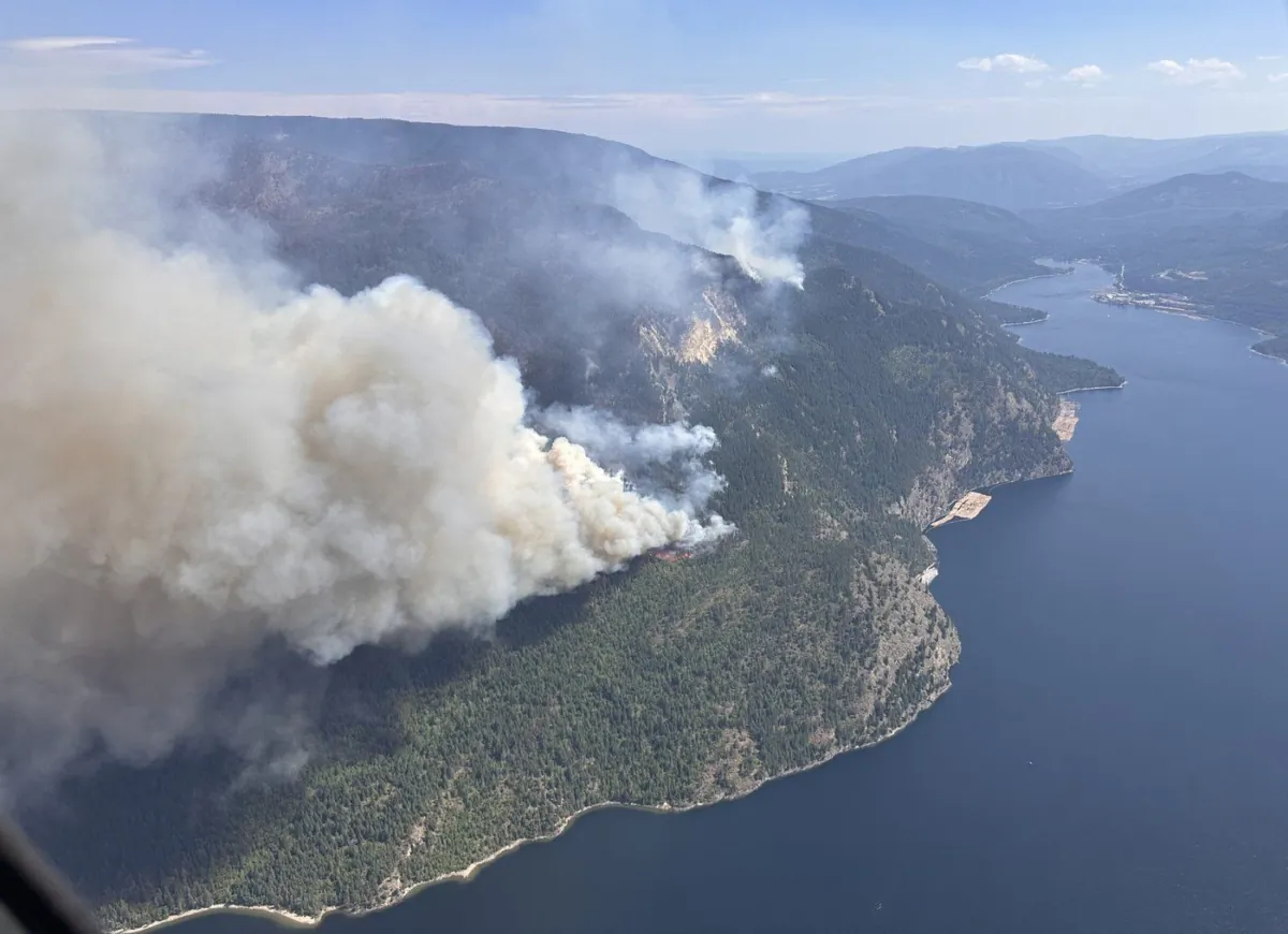 The Lower East Adams Lake wildfire in B.C.'s Shuswap region. (HO-BC Wildfire Service/The Canadian Press)