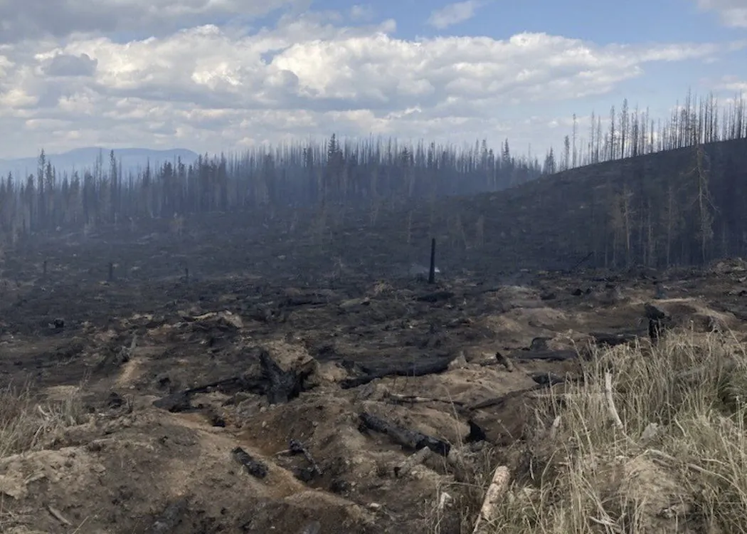 The area around the Bush Creek East blaze, northeast of Kamloops on the west side of Adams Lake, is shown in a handout photo. (The Canadian Press/HO-BC Wildfire Service)