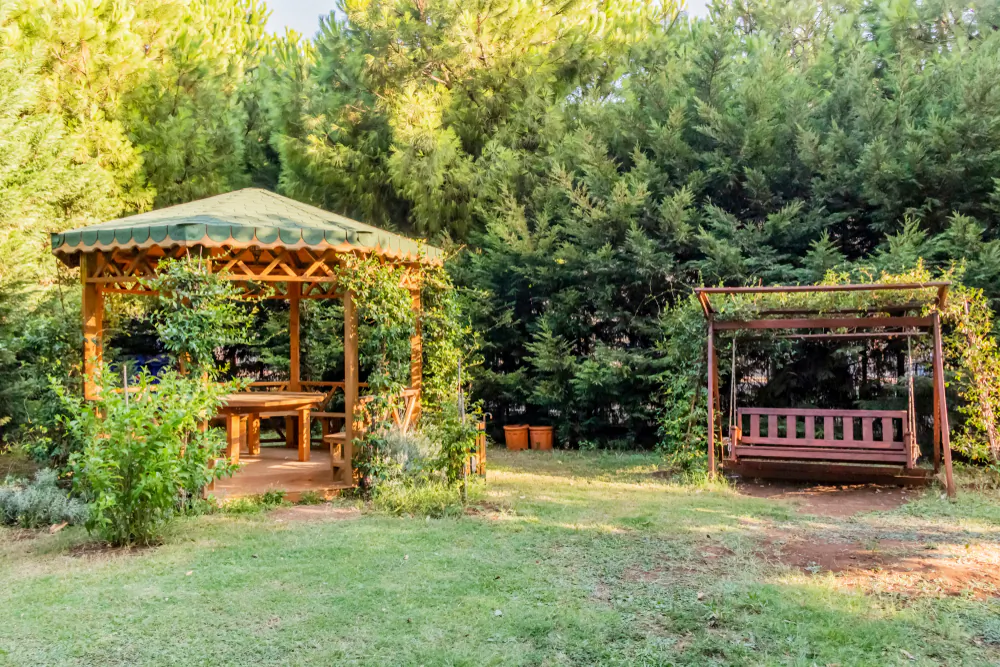 Wood is the top choice for decks, pergolas, and other outdoor structures.(yilmazsavaskandag/Shutterstock)