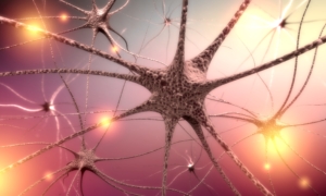 COVID-19 Vagus Nerve Inflammation May Lead to Dysautonomia: New Study